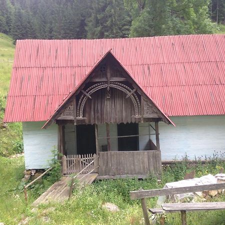 Moara Lui Ivan Hanasesti Exteriör bild